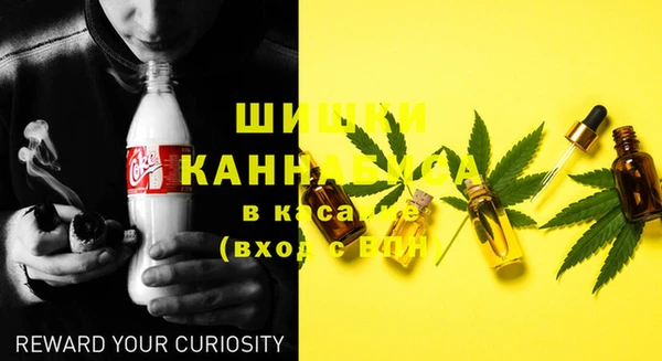 бошки Гусиноозёрск