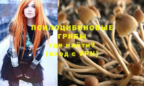 стафф Абаза